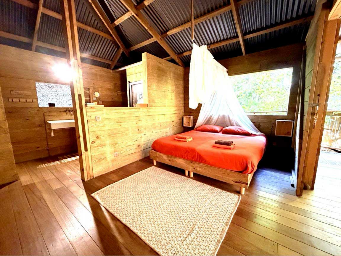 Bambou-cabane-fleur-de-canne-2-web